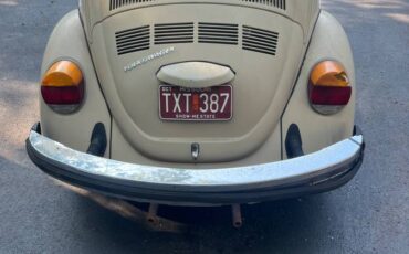 Volkswagen-bug-1974-brown-6