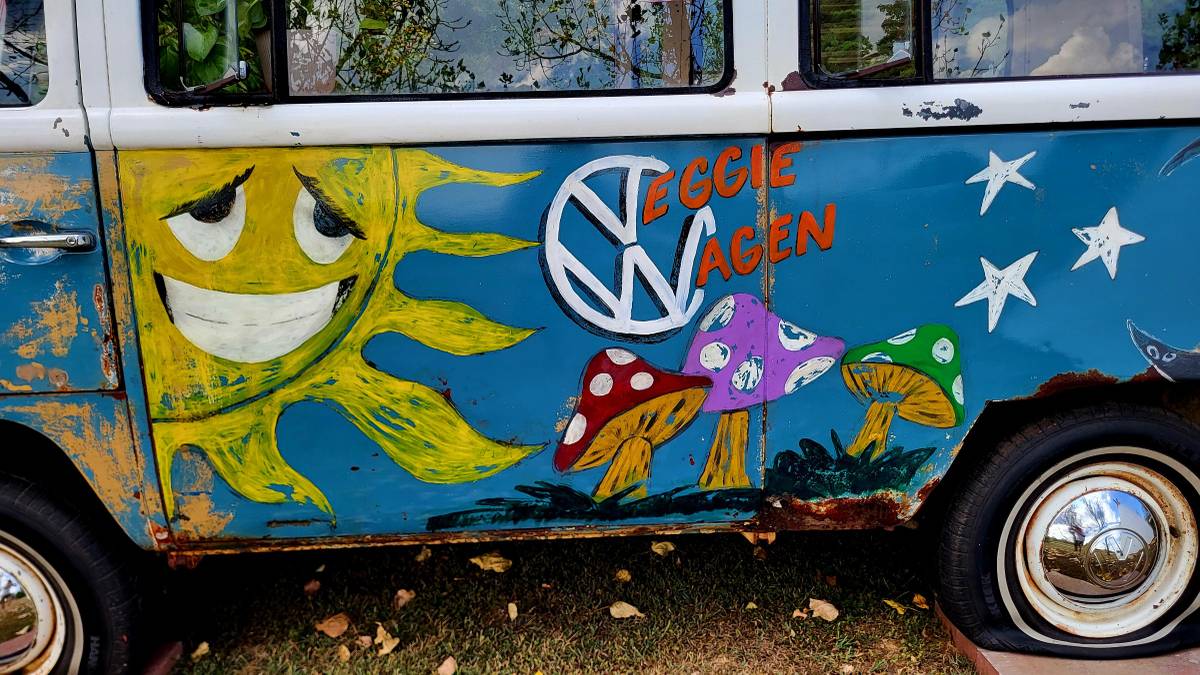 Volkswagen-bus-1969-2