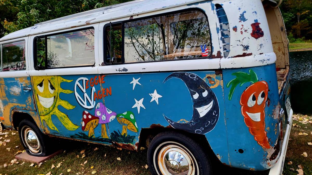 Volkswagen-bus-1969-3