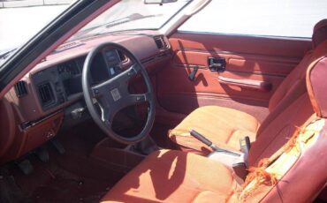 Volkswagen-cabrio-1981-4