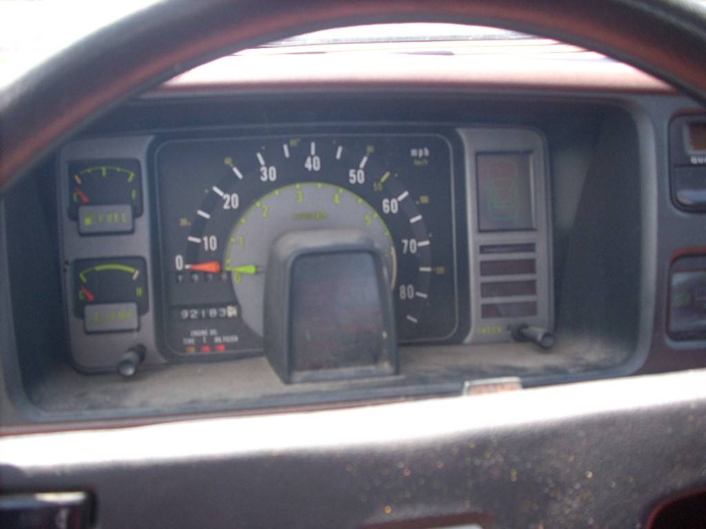 Volkswagen-cabrio-1981-5