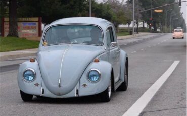 Volkswagen-other-1967-8