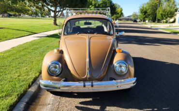 Volkswagen-passat-1976-6