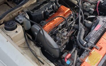 Volkswagen-rabbit-pickup-caddy-diesel-1983-white-13