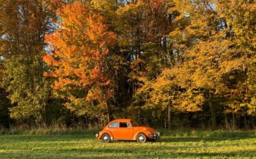 Volkswagen-super-beetle-1974-orange-8