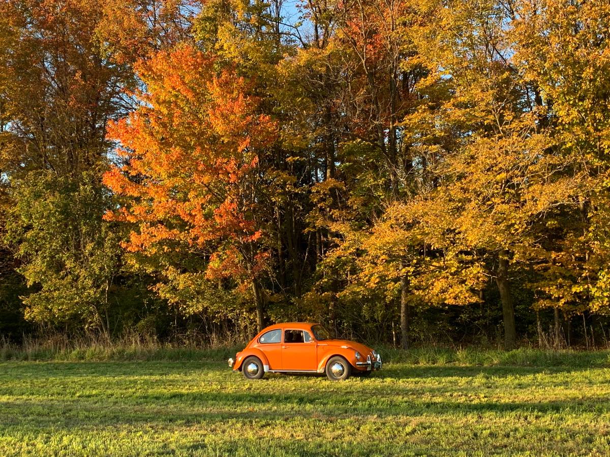 Volkswagen-super-beetle-1974-orange-8