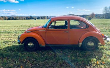 Volkswagen-super-beetle-1974-orange-9