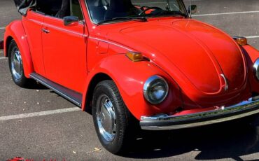 Volkswagen-super-beetle-1975-5