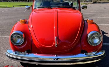 Volkswagen-super-beetle-1975-6
