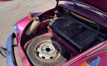 Volkswagen-super-beetle-1977-custom-10