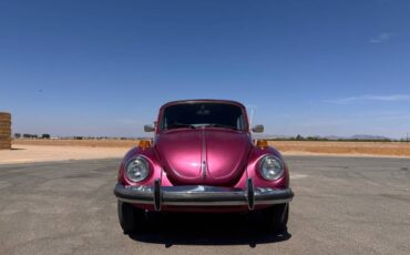 Volkswagen-super-beetle-1977-custom-15