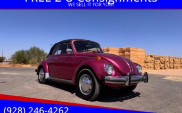 Volkswagen-super-beetle-1977-custom-3
