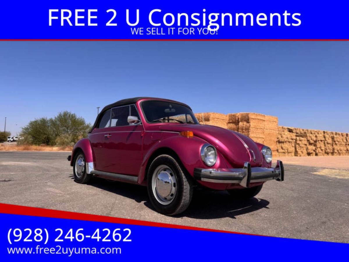 Volkswagen-super-beetle-1977-custom-3