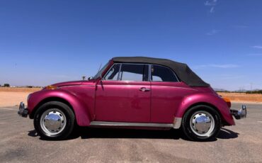 Volkswagen-super-beetle-1977-custom