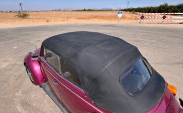 Volkswagen-super-beetle-1977-custom-5