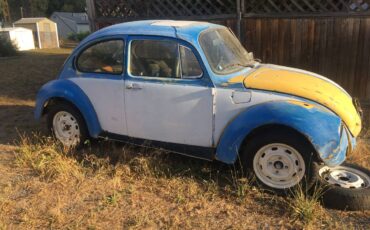 Volkswagen-super-beetle-vw-1974-custom