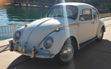 Volkswagen-type-1-1966-white-6