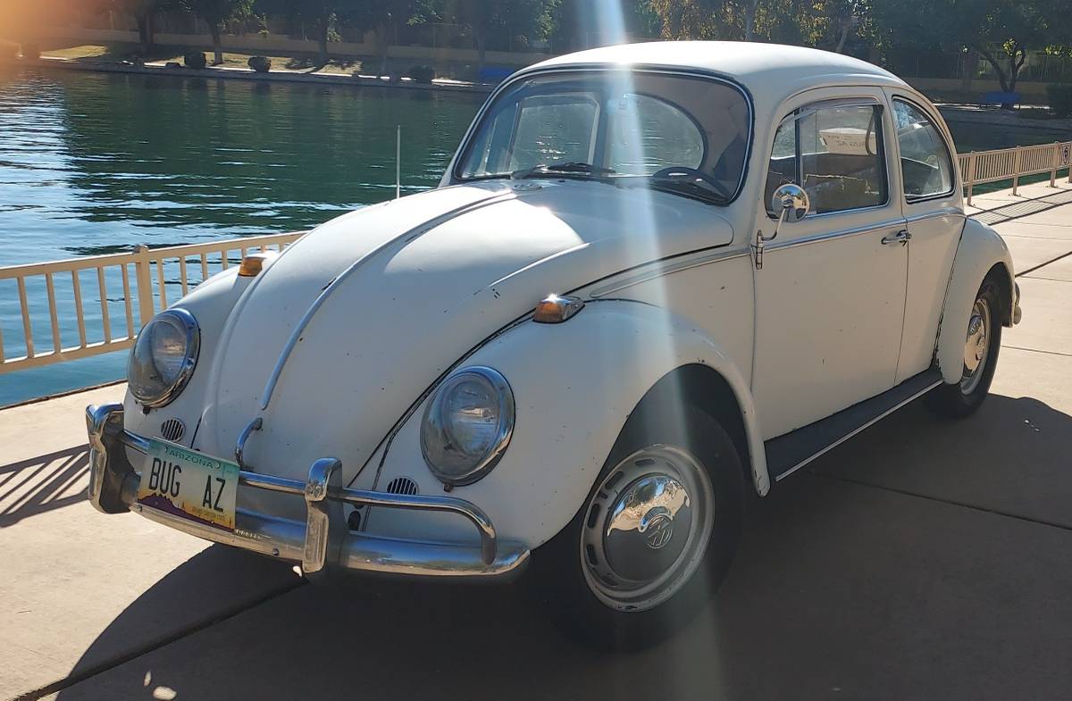 Volkswagen-type-1-1966-white-6