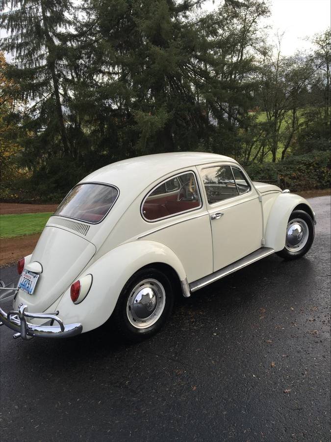 Volkwagen-bug-1965-white-3