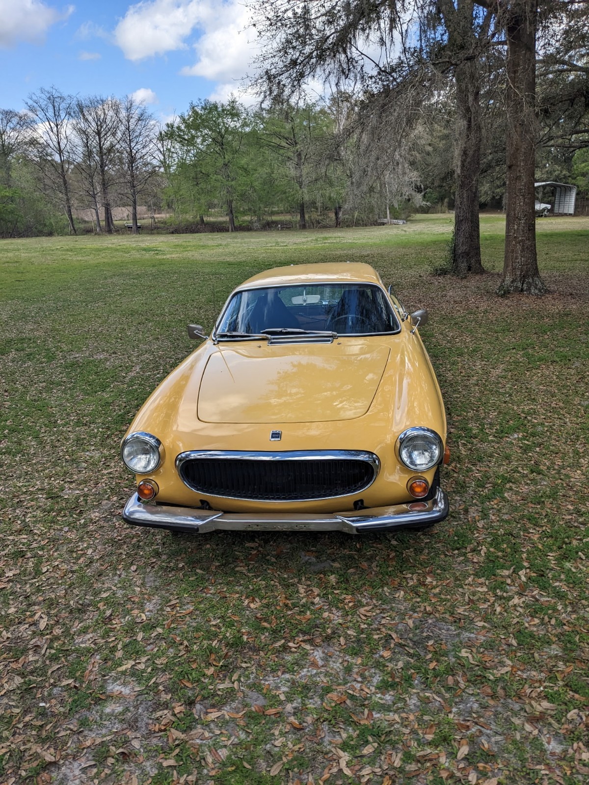 Volvo-1800-1972-Wagon-4