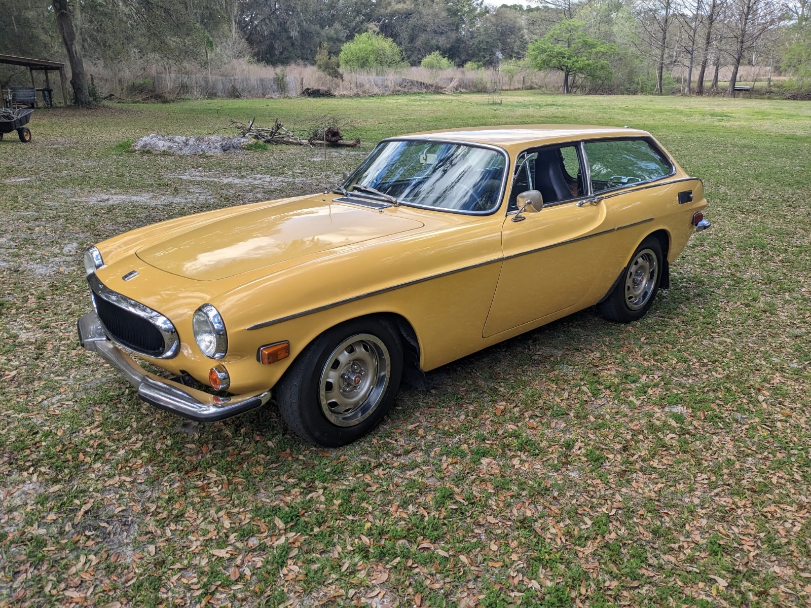 Volvo-1800-1972-Wagon-5