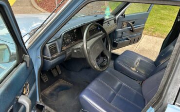 Volvo-1981-3