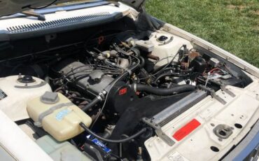 Volvo-240-1984-white-9