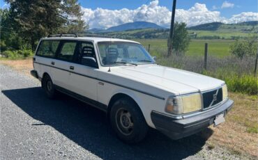 Volvo-245-1987-white