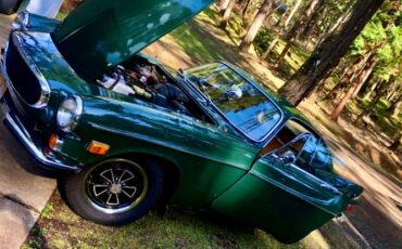 Volvo-P1800-1971-British-Racing-Green-4