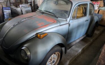 Vw-1973-silver