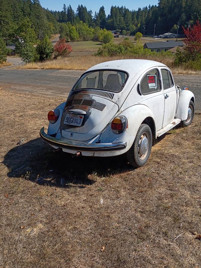 Vw-1973-white-1