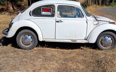 Vw-1973-white-3