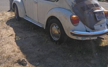 Vw-1973-white