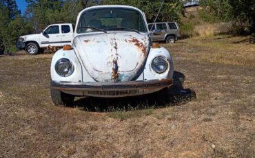 Vw-1973-white-4