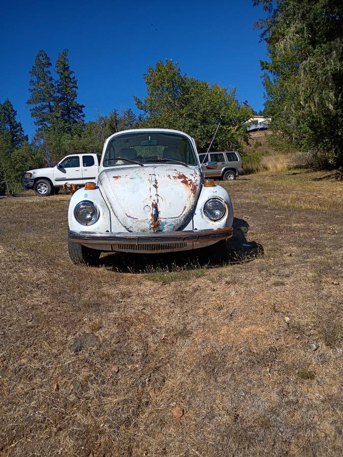 Vw-1973-white-4