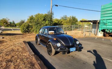 Vw-1974-custom-14
