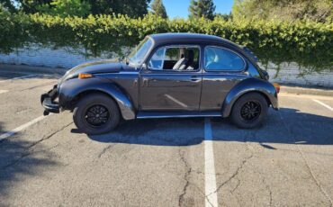 Vw-1974-custom