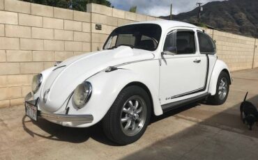 Vw-beetle-1969