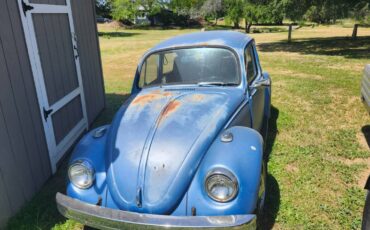 Vw-beetle-1969-blue