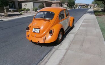 Vw-beetle-1969-orange-3