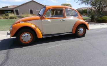 Vw-beetle-1969-orange-8
