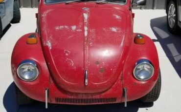 Vw-beetle-1971