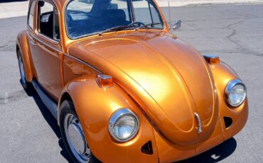 Vw-beetle-1974-custom-6
