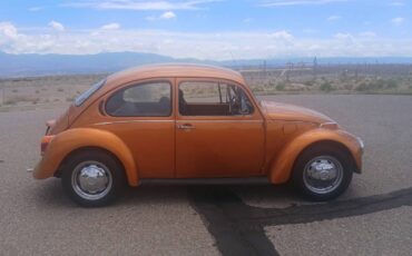 Vw-beetle-1974-custom-7