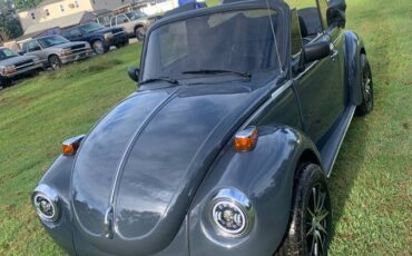 Vw-beetle-1974-grey