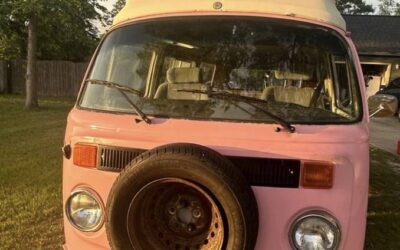 Vw beetle and bus 1967
