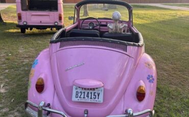 Vw-beetle-and-bus-1967-6