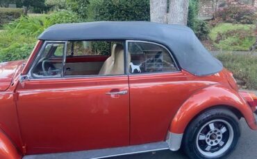 Vw-beetle-convertible-1972-custom-8