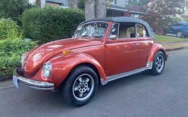Vw-beetle-convertible-1972-custom-9
