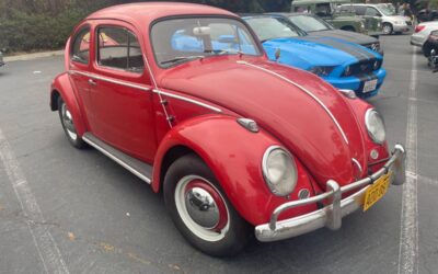 Vw bug 1959
